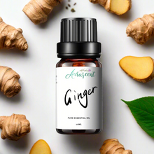 Load image into Gallery viewer, Ginger Essential Oil - 10ml
