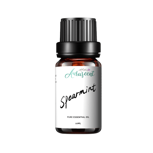 Spearmint Essential Oil - 10ml - Aurascent
